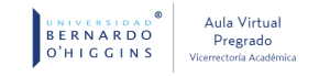 Aula Virtual Pregrado
